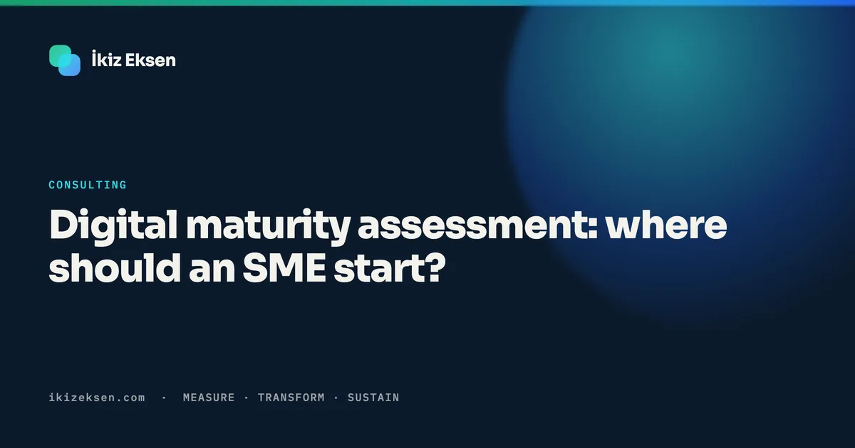 Digital maturity assessment: where should an SME start?
