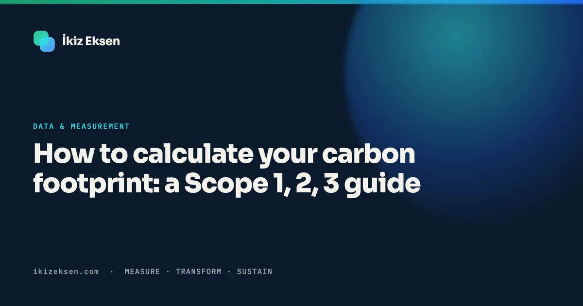 How to calculate your carbon footprint: a Scope 1, 2, 3 guide